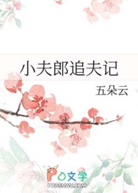 小夫郎追夫记